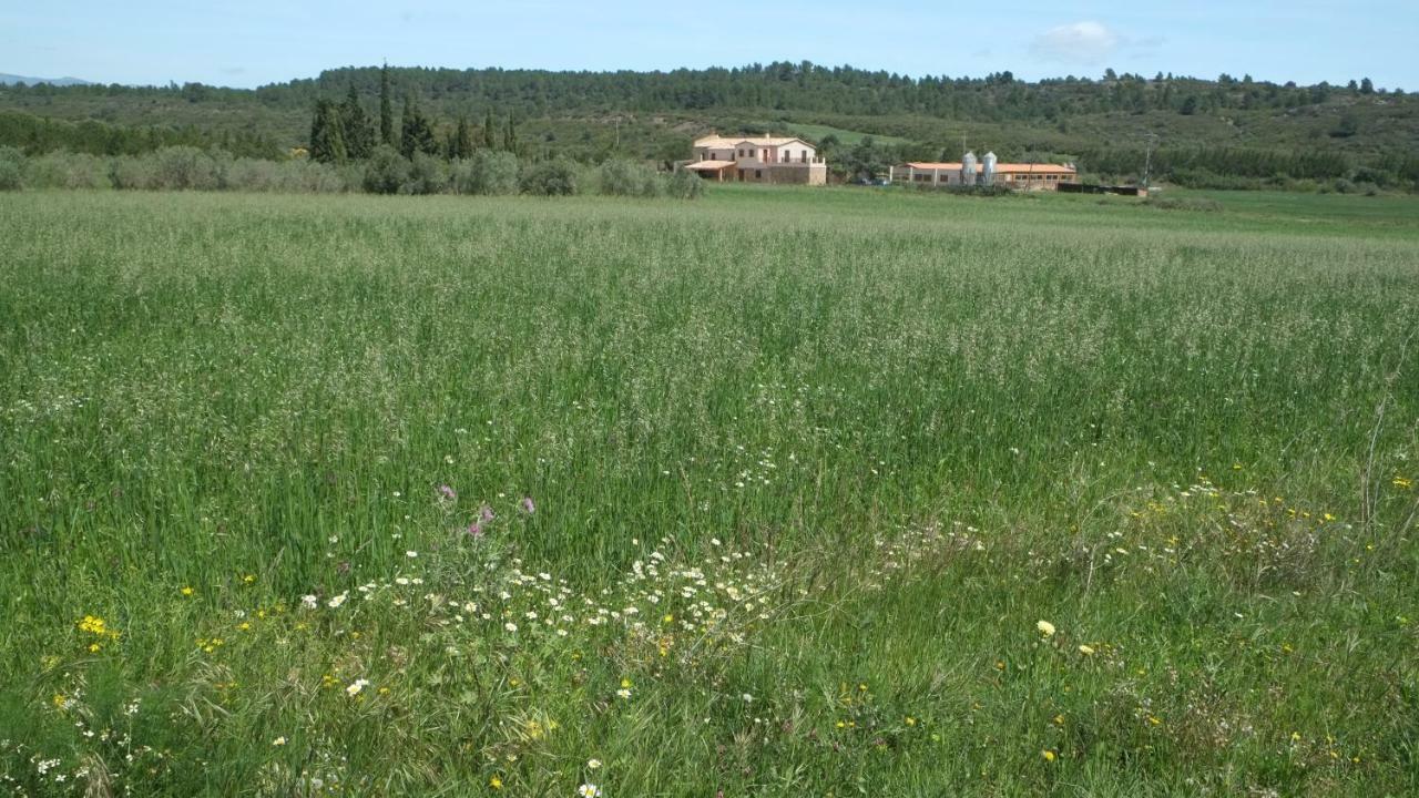 La Masia De Montpedros Peralada Eksteriør bilde